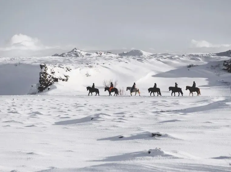 Line of riders on Icelandic horses crossing a snowy landscape